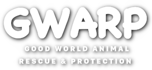 Good World Animal Rescue & Protection (GWARP)
Logo